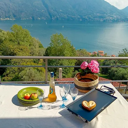 Apartment Paradiso